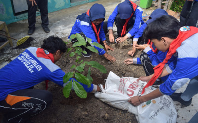 GERAKAN PENANAMAN 1 JUTA POHON MATOA